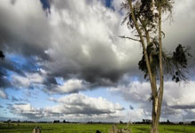 乐鱼体育线上网站-欧冠夜惊魂！当巴萨再次倒在梅阿查魔咒之下